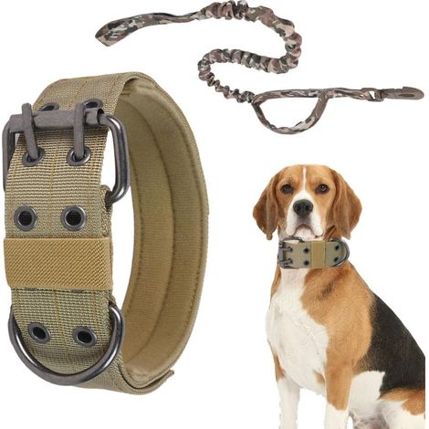 Collier épais pour grands chiens, laisse réglable en nylon incluse, collier large pour chien (1/5)