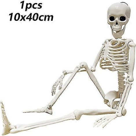 Lot de 2 squelettes articulés pour Halloween, faux crânes humains, décorations pour fête d'Halloween, maison ou bar, accessoires d'horreur pour maison hantée, jouet. 1 pièce comme sur la photo.