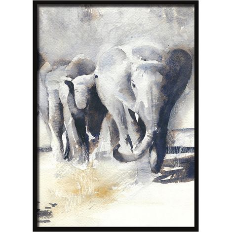 Bild Poster im Rahmen 33x43 cm Elefanten P559 (1/4)