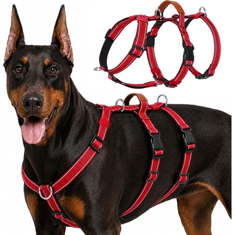 Harnais 3 Points Anti-Fuite Anti-Traction pour Chien (Rouge, XL) (1/5)