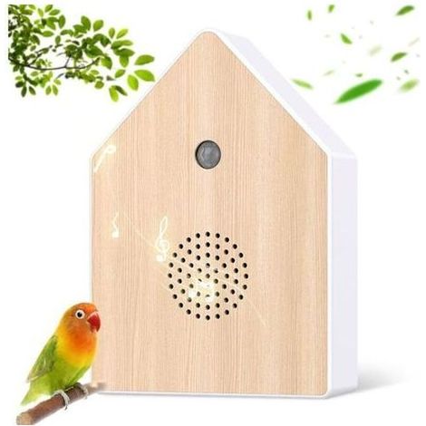 Boîte à Musique Chant des Oiseaux, Boîte à Détecteur de Mouvement avec Support Mural, pour Le Spa, Le Bain et La Relaxation (1/4)