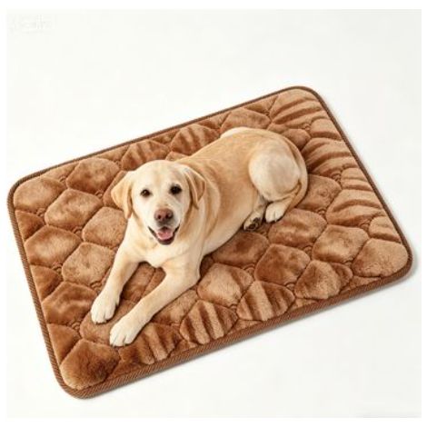 Matelas 9 x 19 (hauteur 1 cm), matelas orthopédique zones avec mousse confort, tissu à surface moelleuse, matelas pour adulte, dureté moyenne (H3)