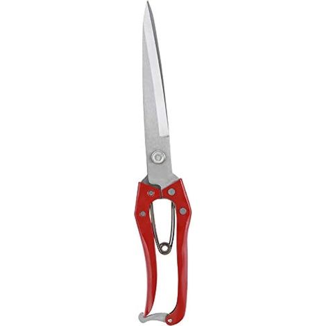 Cisaille à mouton 30cm inox, lames précision (1/3)