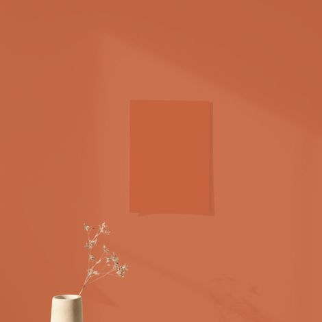 Algo – Peinture multisupports satinée cuisine et salle de bain – 12 m²/L – Émissivité < 0.5 g/L COV – 100% origine France (1/3)