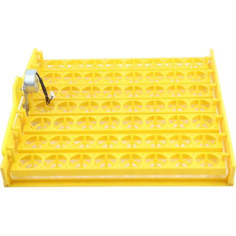 Mini incubateur 56 œufs – plateau tournage automatique – moteur 100-120V – outil éclosion (1/5)