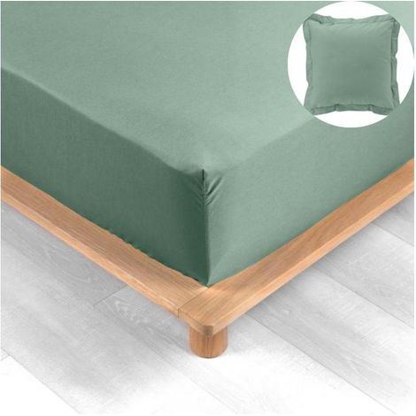 Pack drap housse king size 180 x 200 cm + 2 taies en percale 78 fils Tilleul (1/5)