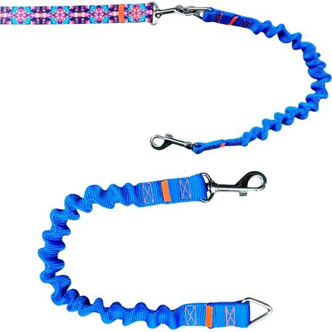 Amortisseur pour laisse de chien BLEU laisse de sport traditionnelle (1/4)
