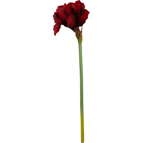 Premier Housewares Fiori Amarylilis Stem Burgundy Flower - 72cm (1/5)