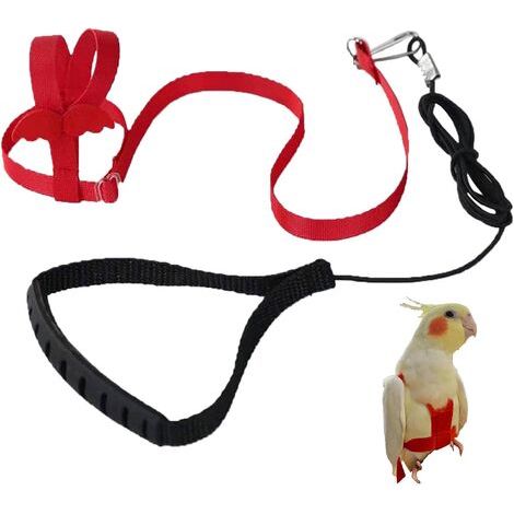 SABIR Ceinture de sécurité réglable laisse pour animaux de compagnie corde anti-morsure perroquet perroquet ceinture élastique King Kong (rouge, M) (1/5)