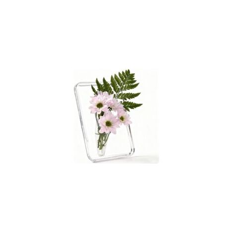 Vase en Acrylique Transparent, Petites vases déco pour Table, Design Moderne, Adapté aux Plantes hydroponiques, Idéal pour décoration de Salon, Mariage et Autres Occasions (Transparent)