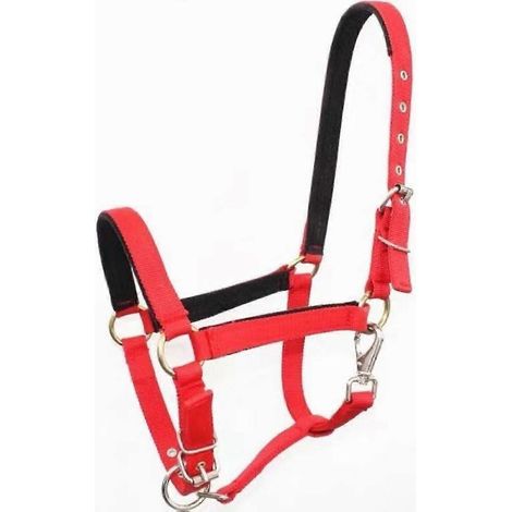 Licol de dressage pour âne résistant avec corde réglable - Rouge - Modèle résistant à l'usure (1/5)