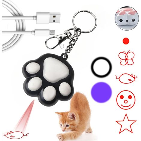 [NON UTILIZZATO] puntatore laser a forma di gatto