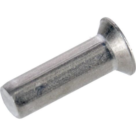 Remaches TSC 6x19,8 A/2 MASCHIO F02250521RDO (1/2)