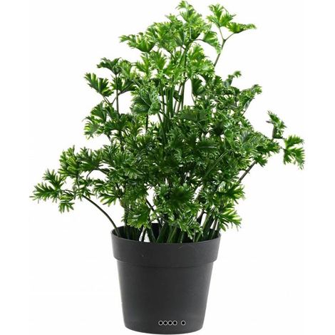 Persil artificiel en pot pour extérieur H 25 cm (1/3)