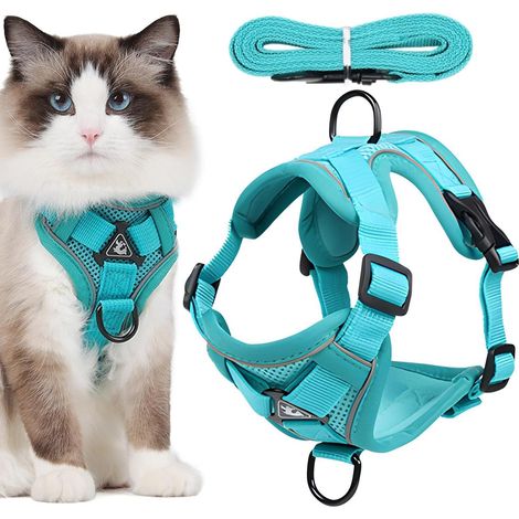 Harnais pour chat anti-fugue, réglable, réfléchissant, respirant et doux Laisse robuste pour chatons