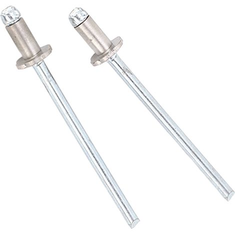 2 pièces rivets à rosace en acier inoxydable, rivets pop de remplacement pour plaques VIN de portière Ford AMC (1/5)