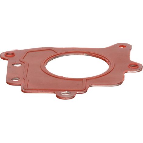Guarnizione valvola EGR rapida FT12447 (1/4)