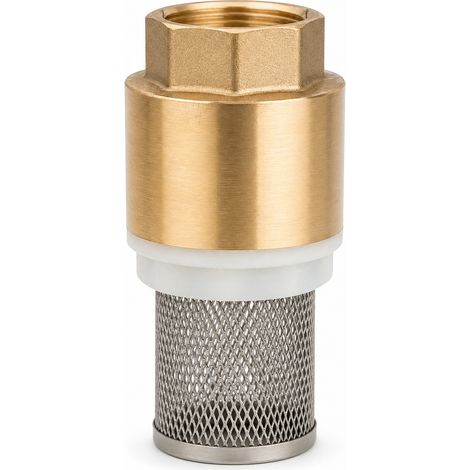 Clapet de Pied Laiton DN25 avec Crépine pour Pompe Jaune (1/5)