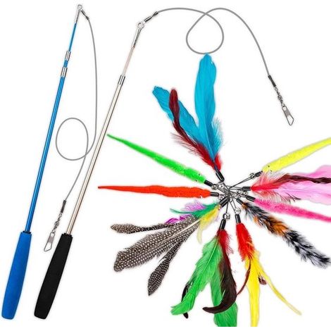 Set de 2 cannes à chat – 10 jouets – Ressorts et clochettes – Interactif – Chatons (1/5)