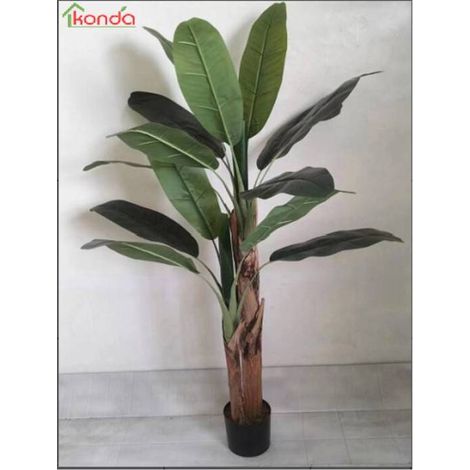 4 x C PIANTA BANANO ARTIFICIALE 165 CM