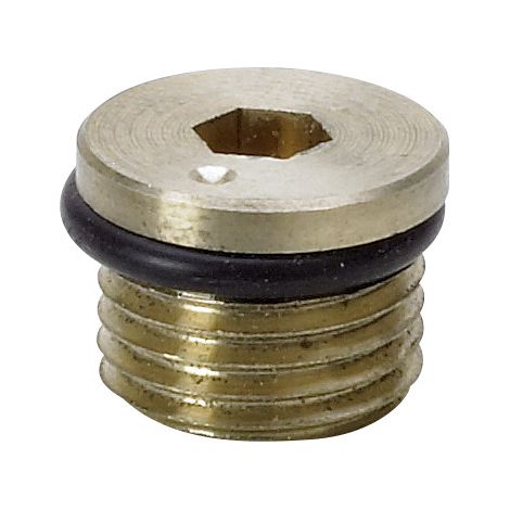 Bouchon Easytop 2275.95 G1/4 en bronze au silicium