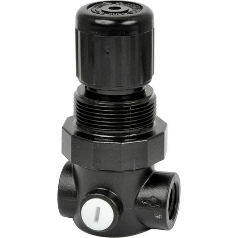IMI NORGREN R91W-2GK-NEN Flüssigkeitsregler 1/4"