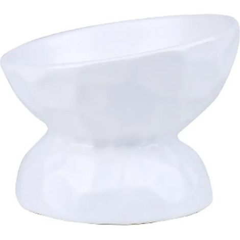 Gamelles surélevées en céramique pour chats, gamelle inclinée pour chats, gamelle en porcelaine, protège la colonne vertébrale de l'animal (1/5)