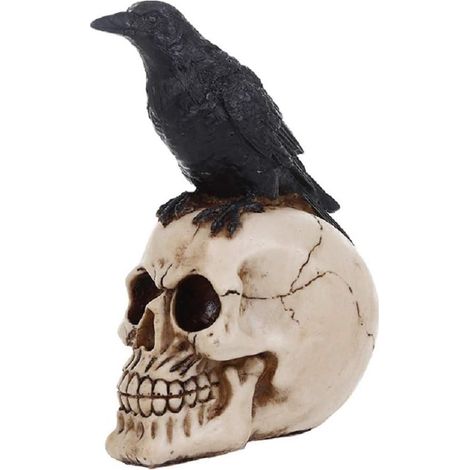 Tête de crâne de corbeau réaliste en résine, statue de crâne humain, squelette, cimetière de crânes, figurine, sculpture (1/5)