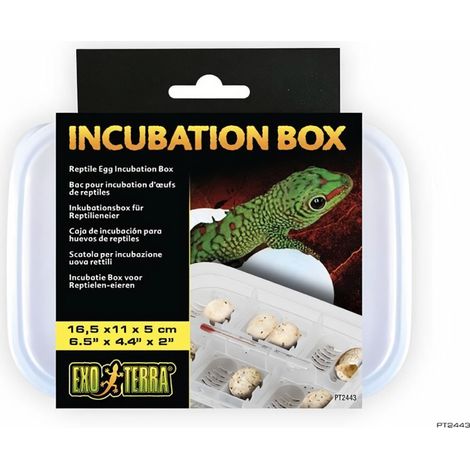 Boîte d'incubation exo terra incubation box 12 œufs 16.5x11x5 cm (1/2)