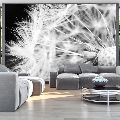 Fotomurale - Black and white dandelion - 150x105 (1/4)