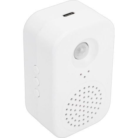 Lecteur Vocal activé par Le Mouvement, Détecteur de Mouvement Infrarouge PIR Enregistrable par la Voix, Sonnette de Bienvenue pour Magasin, Idéal pour Les Fichiers MP3 de Noël pour Lire la (1/5)