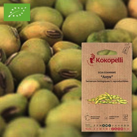 Soja Edamame Aoyu- Graines bio à semer (1/2)