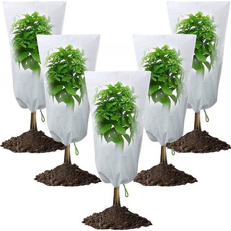 Protection hivernale pour plantes - Convient aux arbres et plantes diverses, 3 pièces, blanc, 80100cm (1/5)