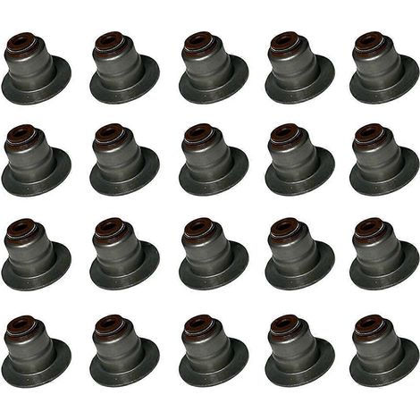 Joints de soupape moteur 20 pièces pour moteurs essence V8 5.0L (1/5)