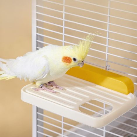 Piattaforma per uccelli, set di 2 accessori in plastica per gabbie, parco giochi per pappagalli, pettirossi e calopsitte (bianco, 2 pezzi (1 confezione)).