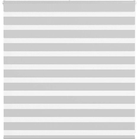 Doppelrollo Hellgrau 150x100 cm Stoffbreite 145,9 cm Polyester