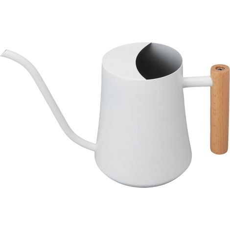 Arrosoir en acier inoxydable, petit arrosoir rétro pour plantes avec poignée en bois, pour usage intérieur, 1000 ml, blanc (1/5)