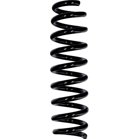 Muelle de serie Eibach ERL BMW trasero R23048 (1/2)