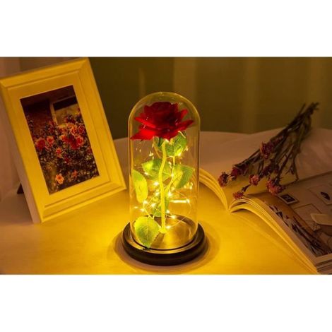 Fleur - - Rose Rouge Eternelle - Dôme en Verre - LED Lumineux - Cadeau Saint-Valentin (1/4)