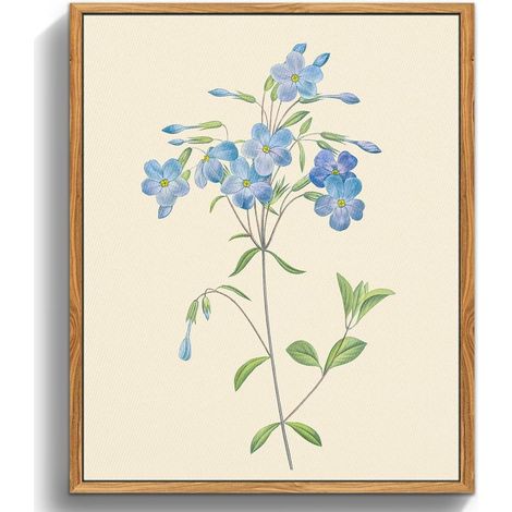 Vintage Botanische Leinwand Bilder mit Rahmen 30x40 cm Blaue Wildblumen (1/5)