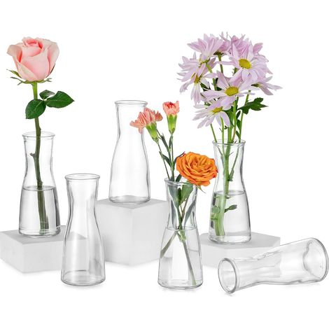 Vase en Verre Transparent: 6 Petits Vases Décoratifs pour Fleur, Rose, Décoration Mariage, Centre de Table Anniversaire Maison (1/5)