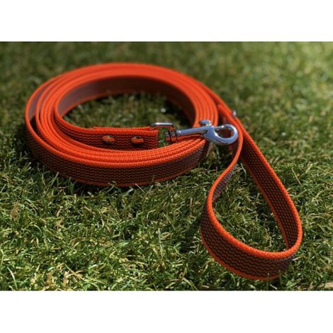 Laisse pour chien de 3 mètres - Antidérapante - Orange - Sûre - Prise en main - Confortable