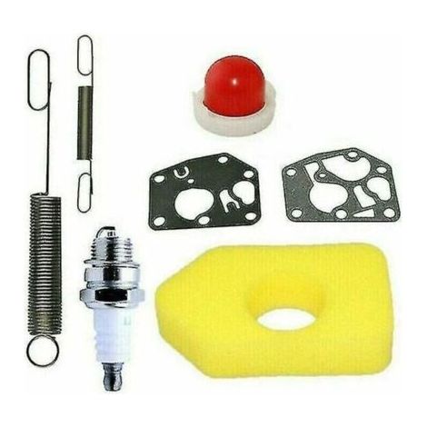 Kit d'entretien pour tondeuse gazon 698369 Filtre air adapt aux moteurs Briggs Stratton Classic et Sprint (1/5)