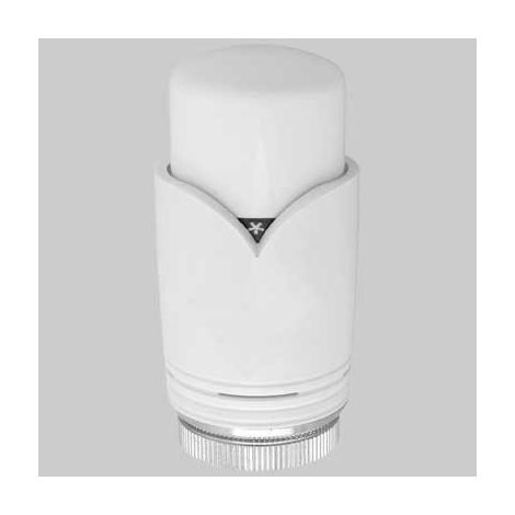 TESTA TERMOSTATICA 310BB - 30x1,5