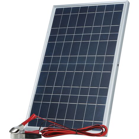 Panneau Solaire 10W - Générique - Portable - PET IP65 Étanche pour Caméra de Surveillance et Poulailler Extérieur (1/5)