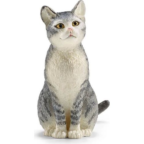 Chat assis