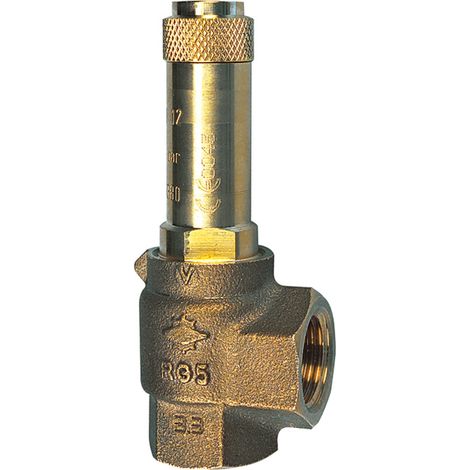Riegler Eck-Sicherheitsventil, Sattdampf, G 3/4, Ansprechdruck 0,4 bar