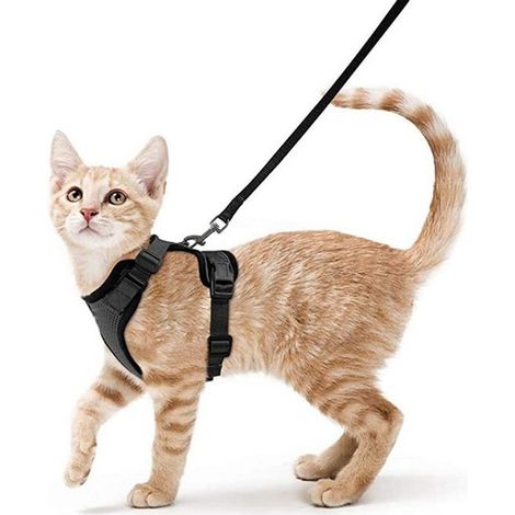 Harnais respirant pour chat, taille S, fournitures pour animaux de compagnie, corde de marche réfléchissante et anti-casse (1/3)