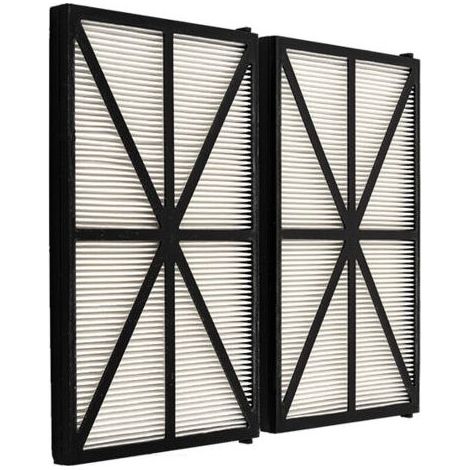 Lot de 2 Panneaux Filtres pour Robot Tiger Shark - RCX70101PAK2 - Noir