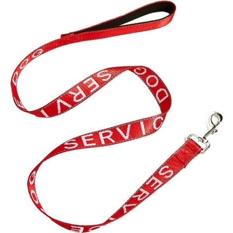 Correa para perros, asa acolchada, nailon resistente de 2,5 cm, mosquetón metálico, para paseos y entrenamiento al aire libre. (1/5)